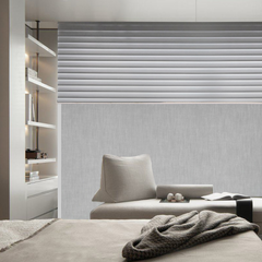 Dual Roller Shades Two Shades in One Window Corded Zebra Sheer Shades with Roller Shades