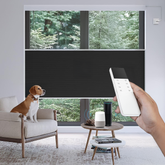 Hardwired Top Down Bottom Up Cellular Shades Alexa Remote Controller Smart Motorized