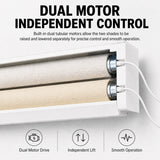 Hardwired Motorized Dual Roller Shades, Dual Motor Two Shades in One Window, Zebra Sheer Shades with Blackout Roller Shade, Day & Night Smart Window Blinds