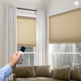 Cellular Shades Room Blackout Hardwired Motorized