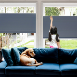 No Drill Cordless Top Down Bottom Up Cellular Shades